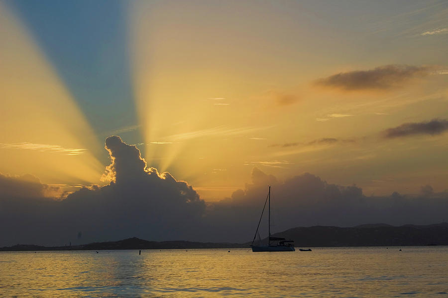 Sailboat at Sunset Photograph by Matthew DeGrushe