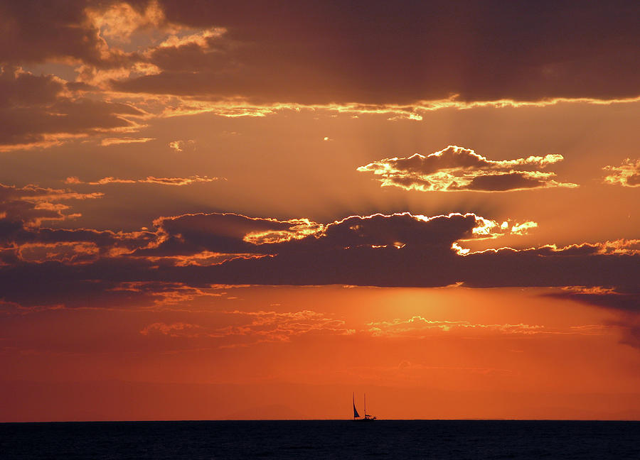 Sailboat at Sunset Photograph by Rick Wilking