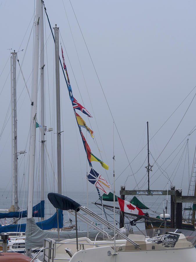 Sailboat Flags at Harbor Photograph by Karen Zuk Rosenblatt