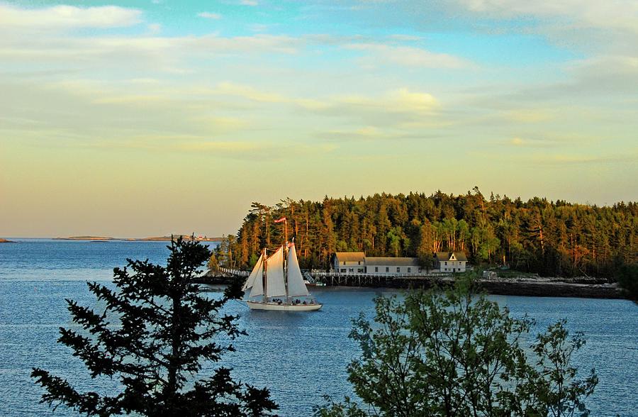 Sailboat in early morning-Boothbay Harbor Maine Photograph by William ...