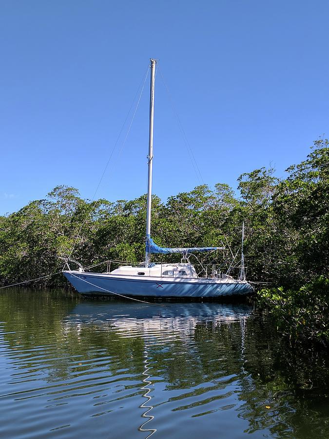 sailboat listings florida