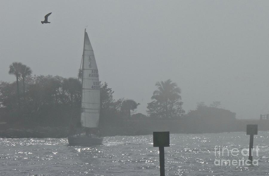 Sailboat In The Foggy Gulf Photograph