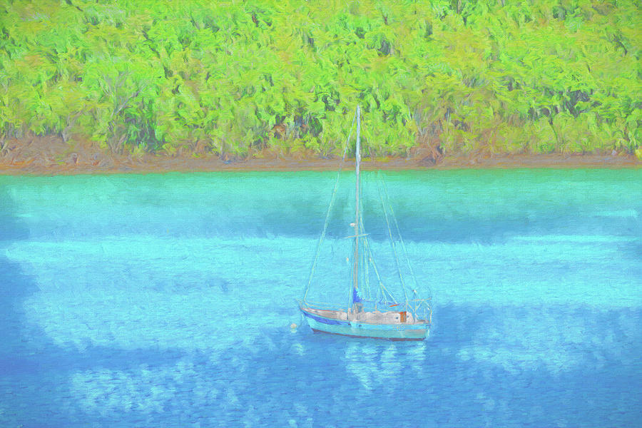 Sailboat In The Sea Photograph