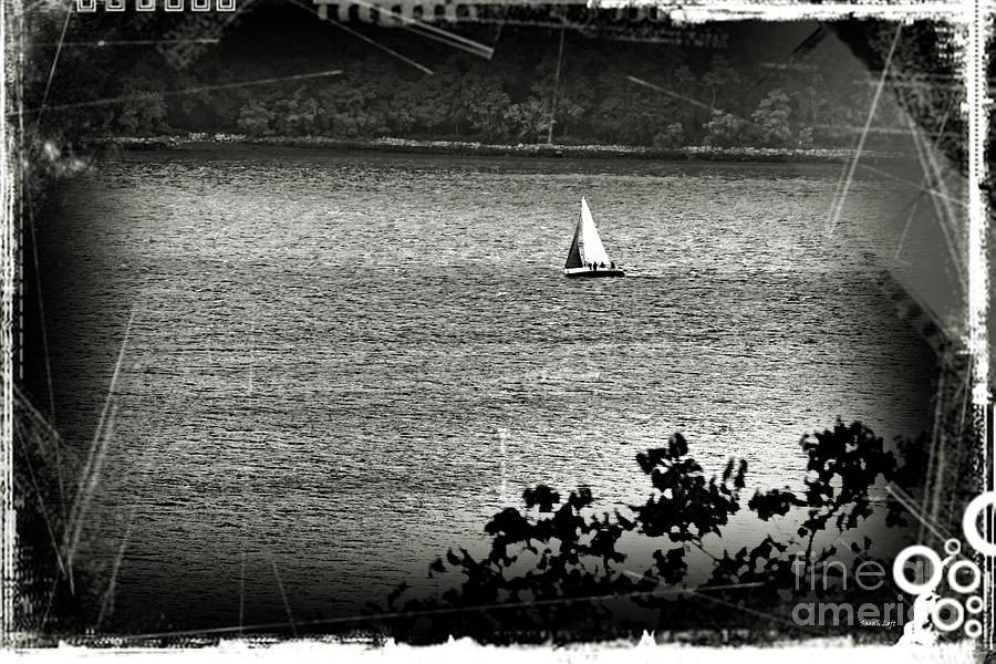 Sailboat on the Hudson River Photograph by Sarah Loft