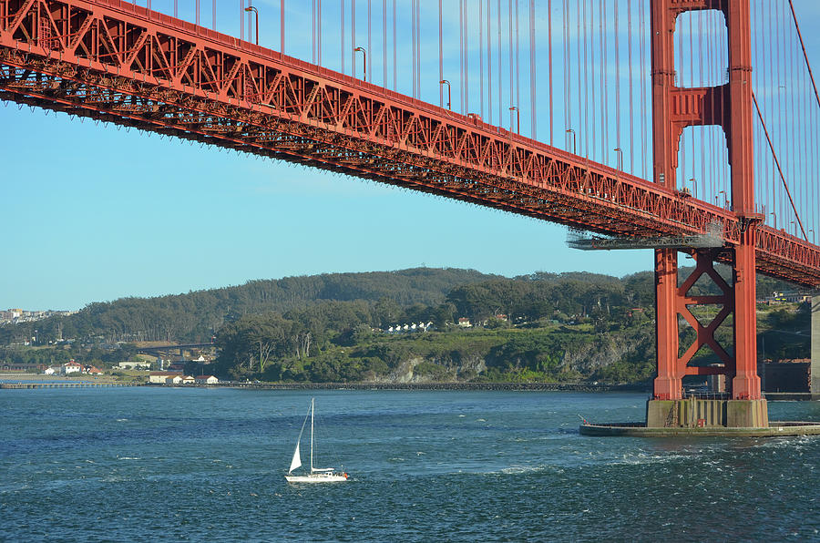 Sailboat Passing Under the Mighty Golden Gate Bridge San Francisco Photograph by Shawn OBrien