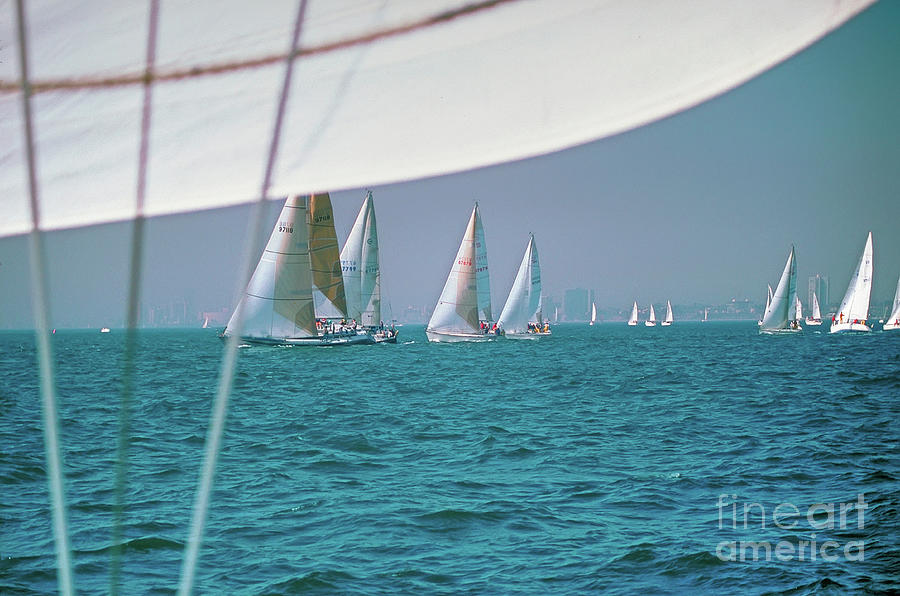 Transportation Photograph - Sailboat Race by David Zanzinger