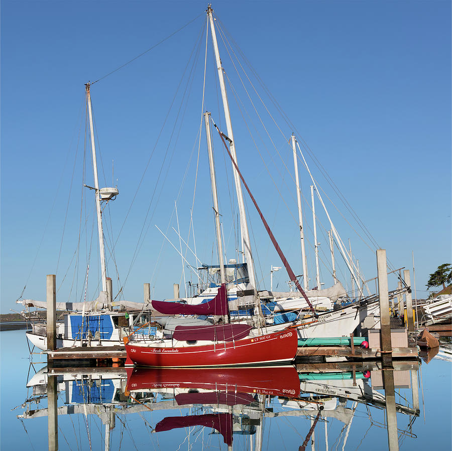 Sailboat Reflections At Morro Bay Park Marina Photograph