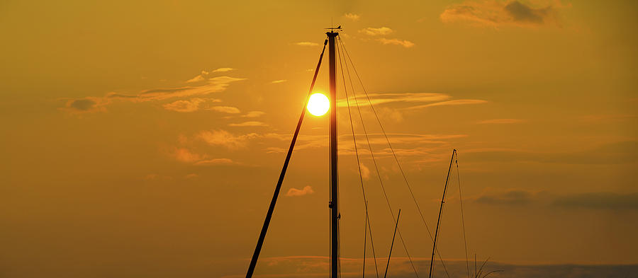 Sailboat Sunrise Photograph