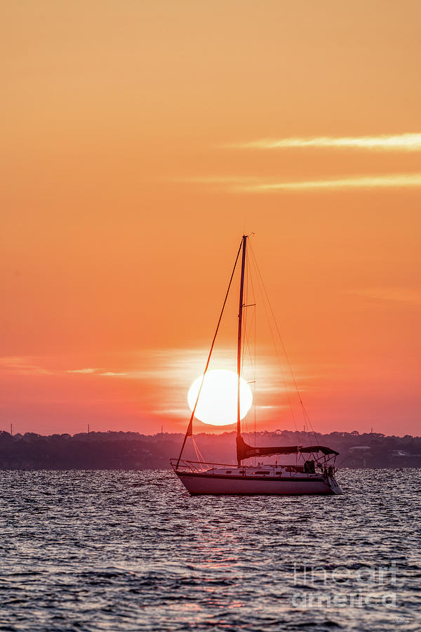 Sailboat Sunrise Vertical Photograph by Jennifer White