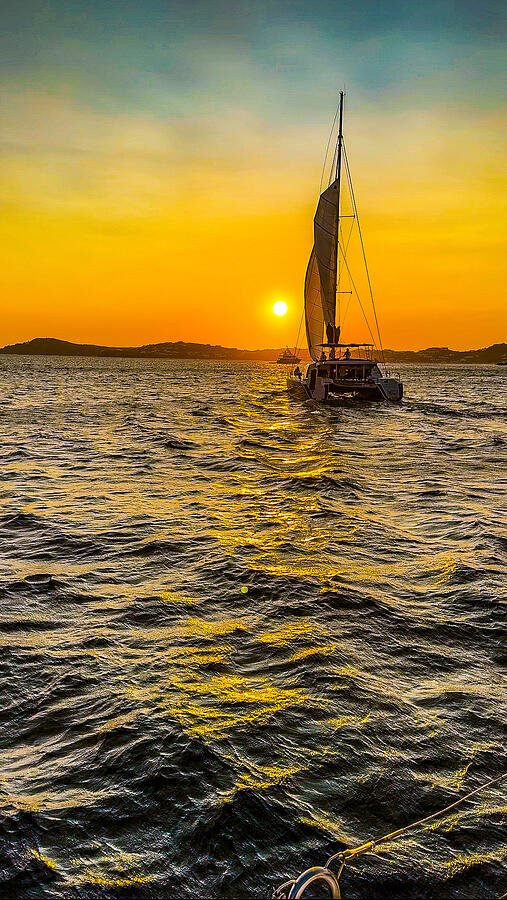 Sailboat Sunset Photograph by Shelby Jacobs Sailboat Sunset Photograph by Shelby Jacobs