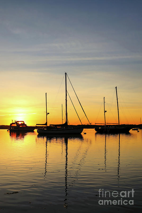 Sailboat Sunset Photograph by Vivian Krug Cotton