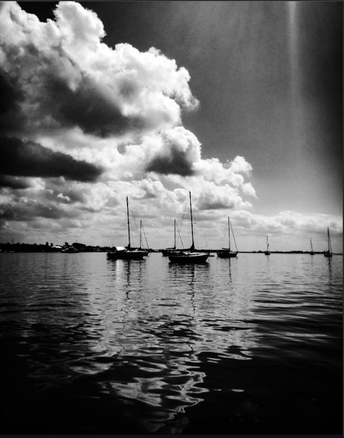 Sailboats anchored in a harbor in black and white Photograph by Marie ...