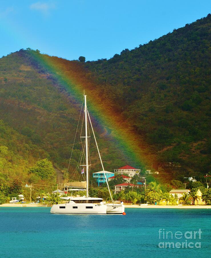 Tree Photograph - Sailboats and Rainbows Are You by David Polakoff