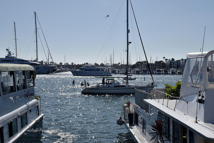 Sailboats and Yachts in the Water at Beautiful Marina Del Rey Photograph by Mark Stout