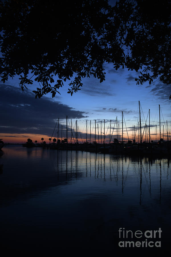 Sailboats At Dawn Photograph by Brenda Harle - Fine Art America