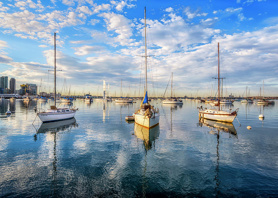 Sailboats At San Diego Harbor Photograph by Joseph S Giacalone