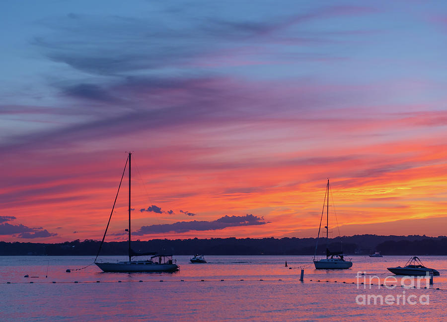 Sailboats at Sunset Photograph by Vera Chwostyk Sailboats at Sunset Photograph by Vera Chwostyk