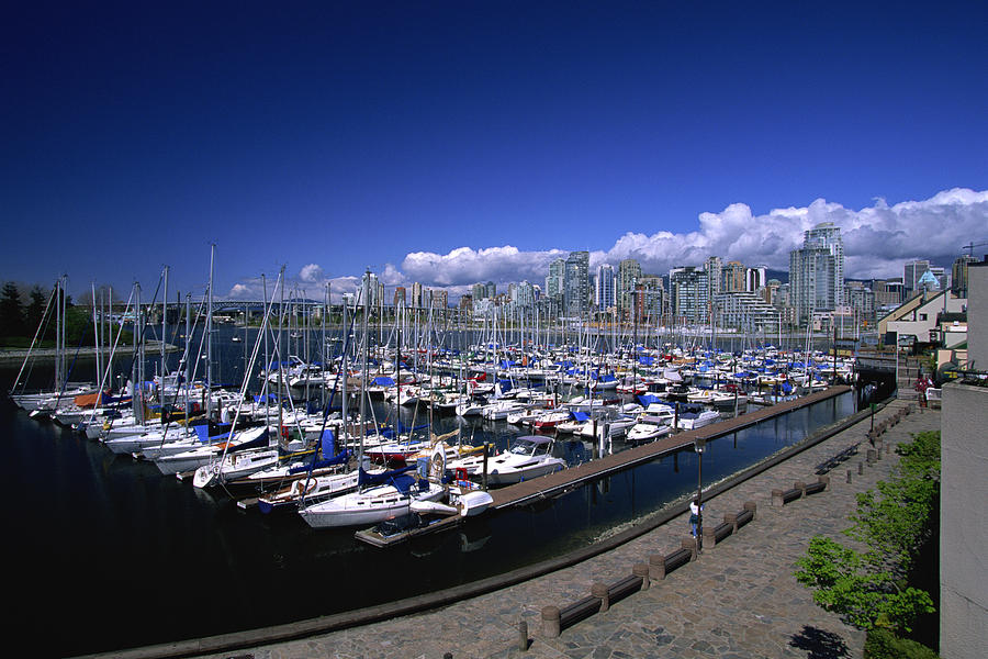 Sailboats docked in marina Photograph by Comstock Images