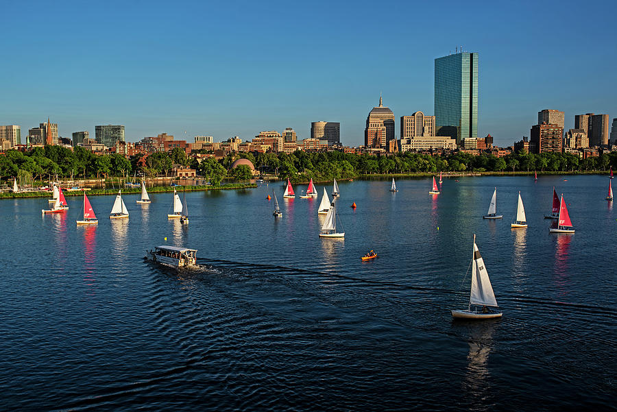 Sailboats Filling the Charles River Boston Massachusetts Photograph by Toby McGuire