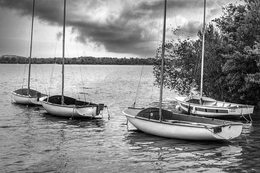 Sailboats Floating at the Lake in Black and White Photograph by Debra and Dave Vanderlaan
