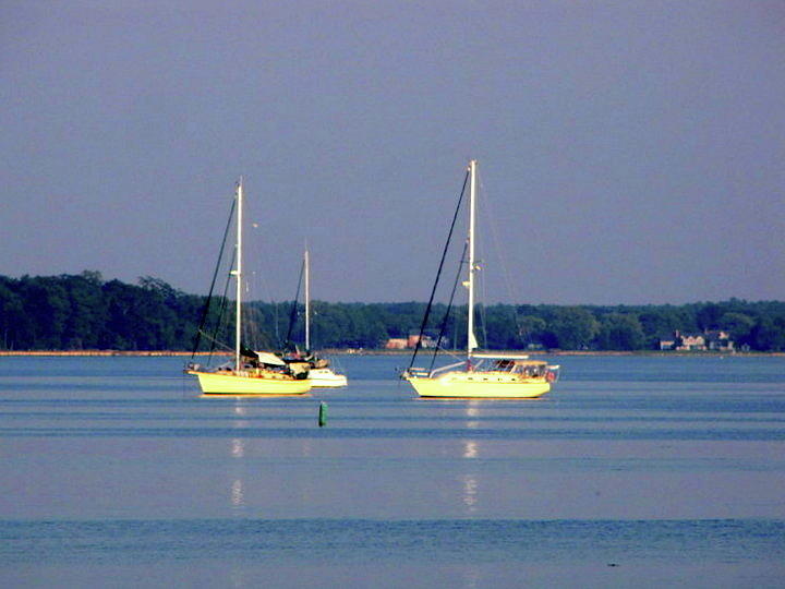 Sailboats in a cove Photograph by Don Varney