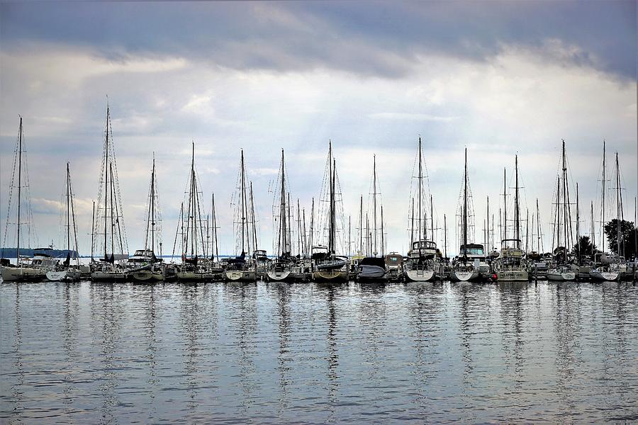sailboats in bayfield