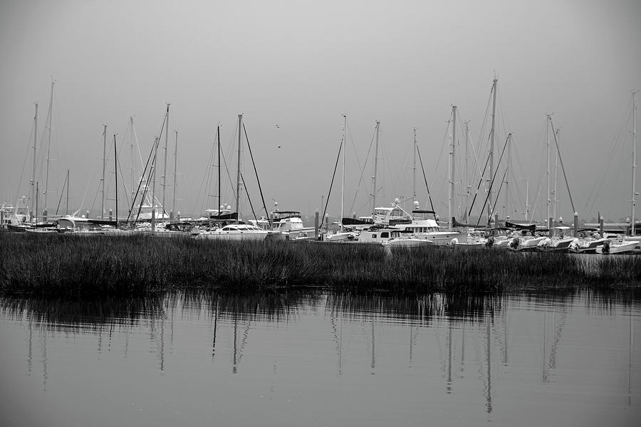 black and white sailboats