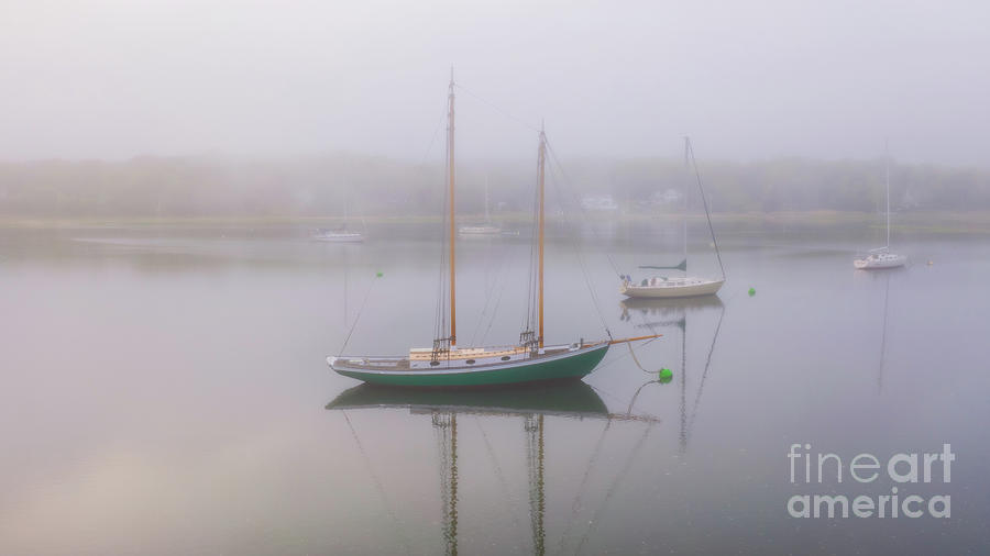 Sailboats in Fog Photograph by Sean Mills
