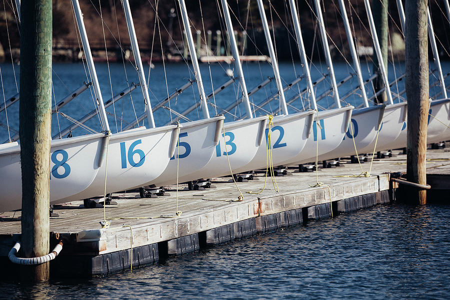 Sailboats in Newport Photograph by Denise Kopko