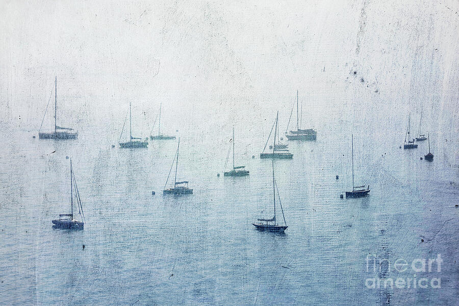 Sailboats in the mist Photograph by Delphimages Photo Creations