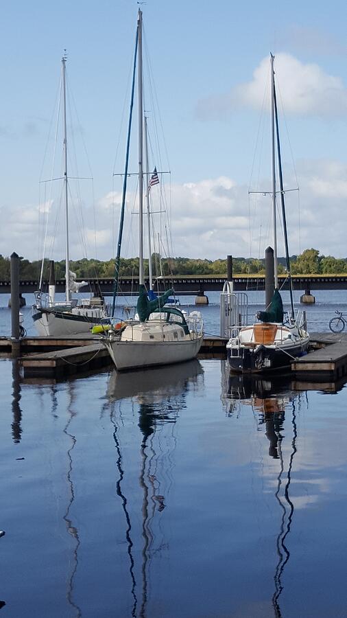 Reflecting Sailing Yachts in the New Bern Harbor Photograph by Catherine Ludwig Donleycott