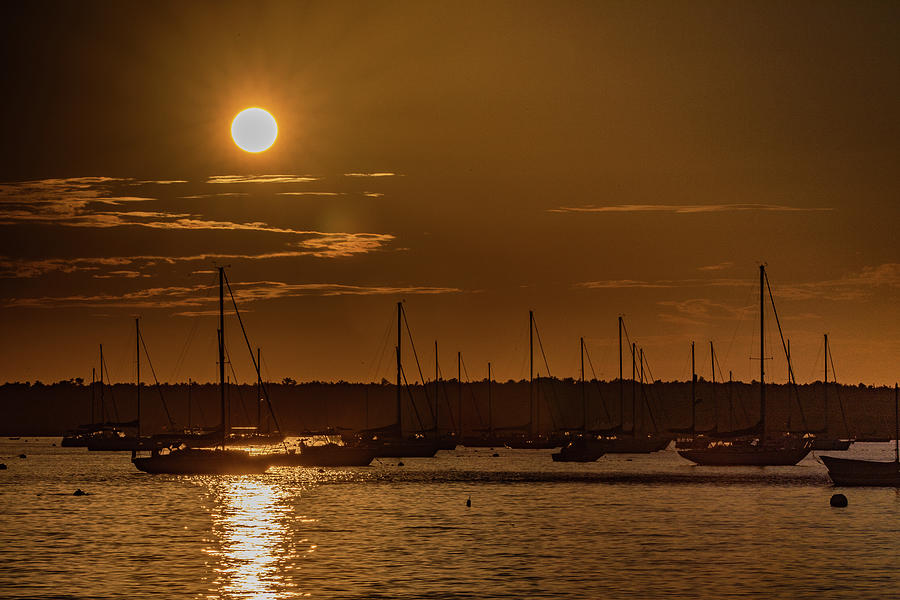 Sailboats in the Sunset Photograph by Denise Kopko