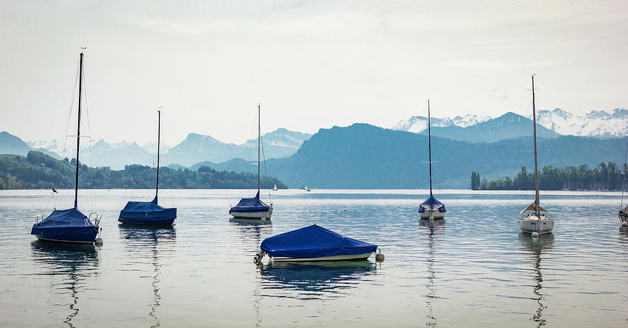 Sailboats On The Lake Photograph