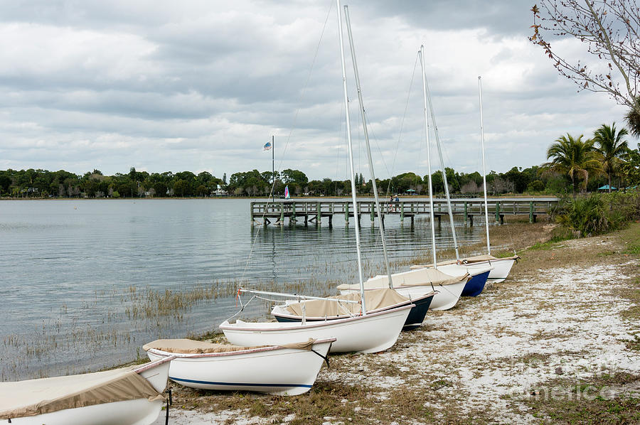Sailboats sit ready for rent at the lake at Sugden Regional Park Photograph by William Kuta