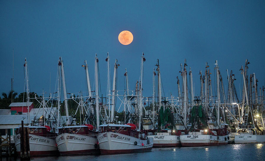 Fort Myers Beach Shrimp Boats Under a Full Moon Digital Art by Andrew West