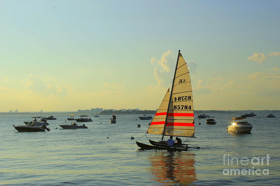 Sunset Photograph - Sailing Along the Bay by Dora Sofia Caputo