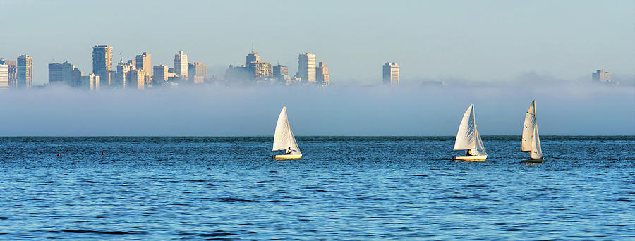 Sailing Along The San Francisco Skyline Photograph by Ali Nasser