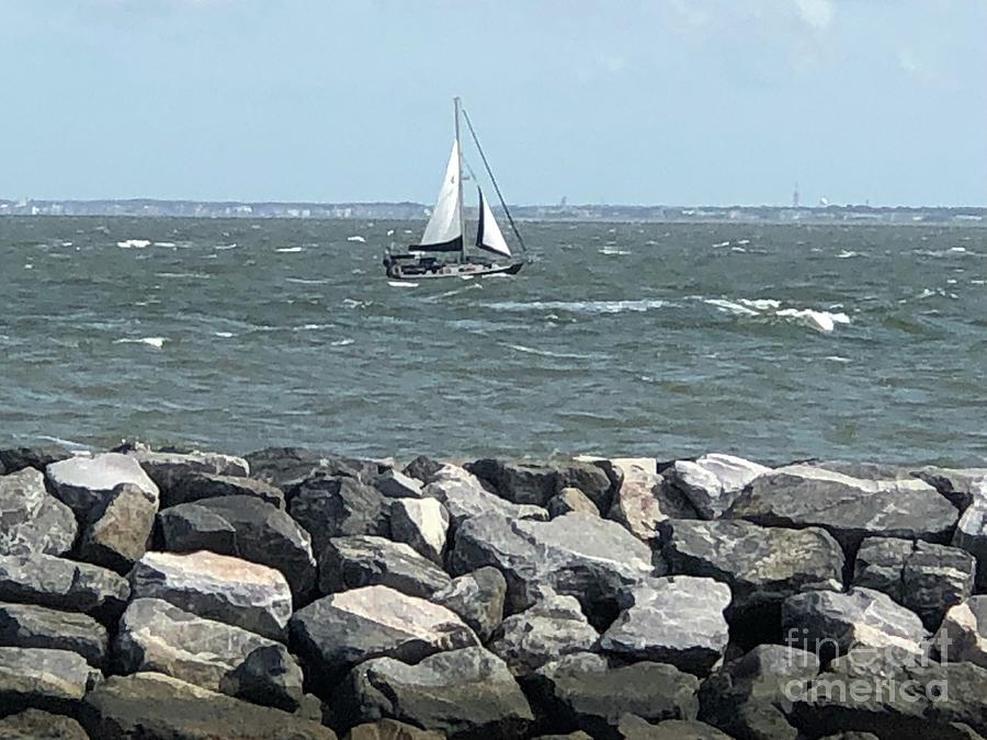 Sailing at Fort Monroe Photograph by Catherine Wilson