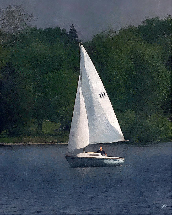 Sailing At Lake Nokomis Digital Art