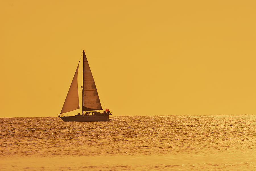 Sailing At Sunset Photograph