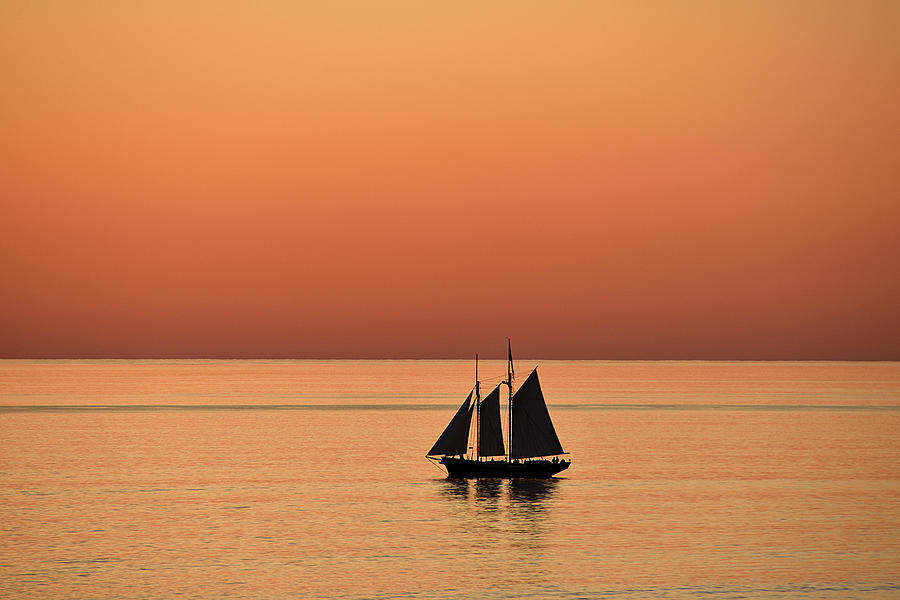 Sailing at sunset Photograph by Andrei SKY
