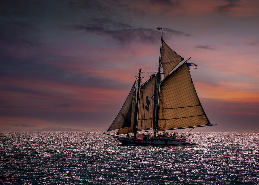 Sailing at Sunset Photograph by Fred LeBlanc
