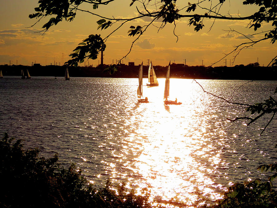 Sailing at Sunset - One Photograph by Linda Stern