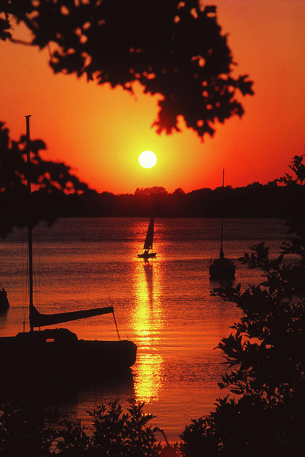 Sailing At Sunset Photograph by Robert Harris