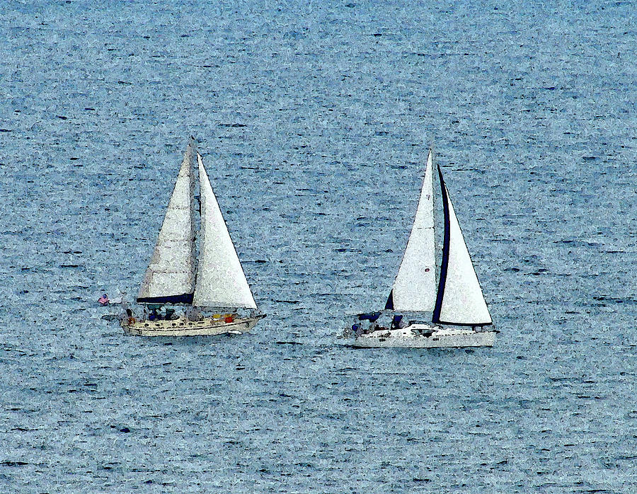 Sailing BFFs Photograph by Corinne Carroll
