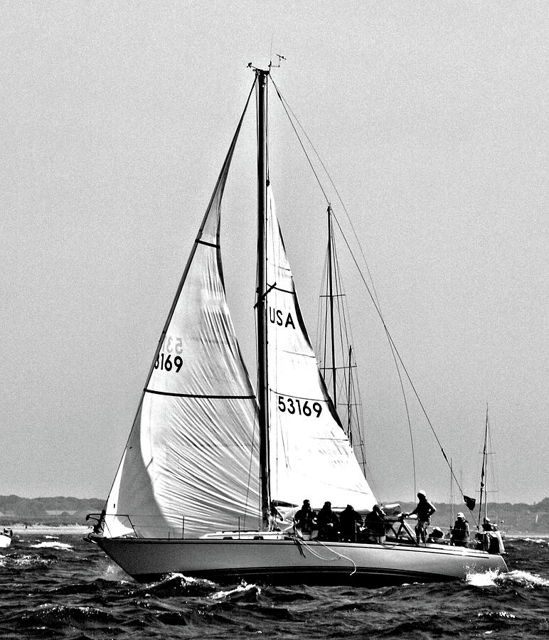 Sailing  Photograph by Bruce Gannon
