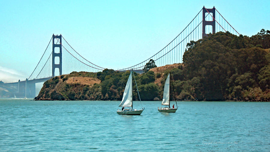 Golden Gate Bridge Photograph - Sailing Buddies by Connie Fox