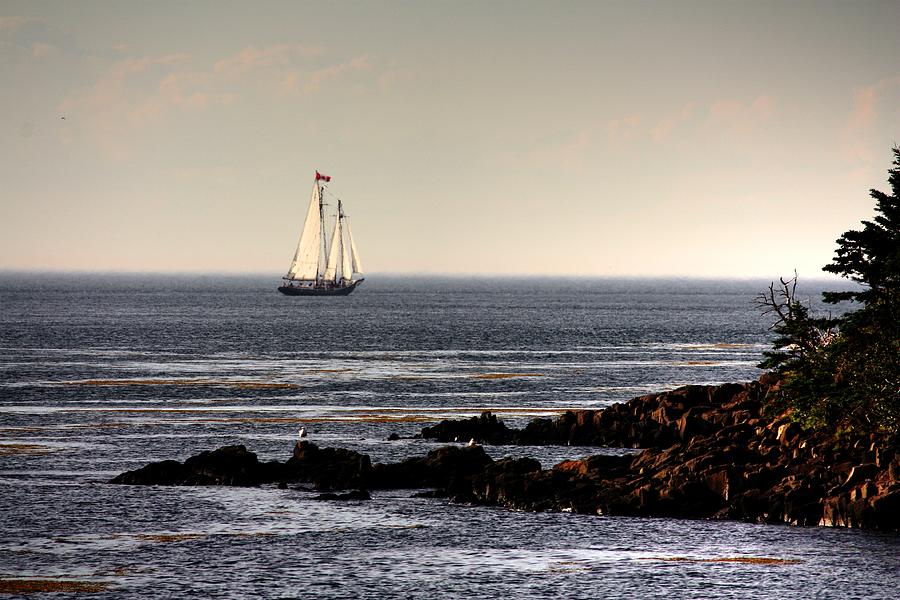 Sailing Photograph by David Matthews