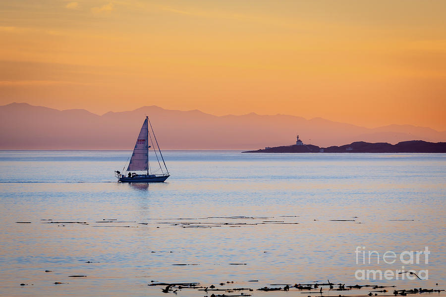 Derek Rees Sailing Photograph by Derek Rees - Fine Art America