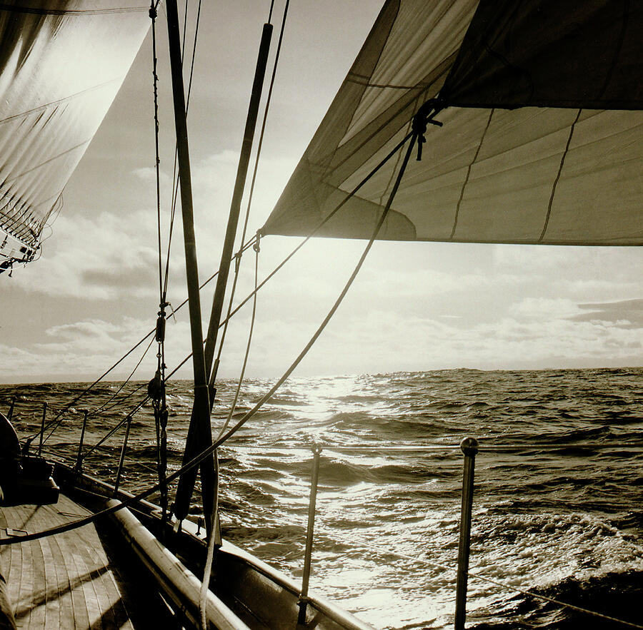 Sailing Photograph by Frank DiMarco